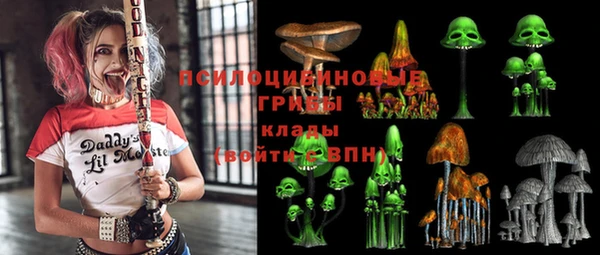 гидропоника Абаза